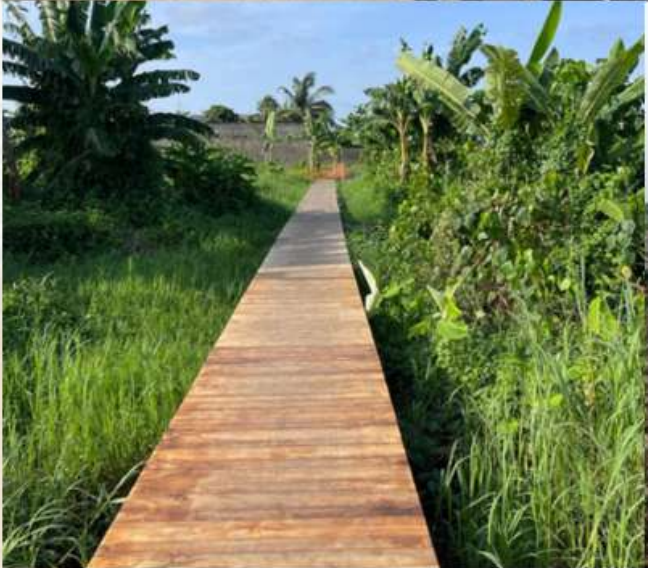 Projet d’aménagement d’une promenade le long de la Berge Est de la Lagune de Porto-Novo jusqu’à Lokpodji